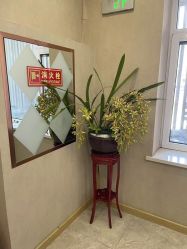 -伊美娜科技美肤中心