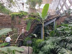 -北京植物园-展览温室