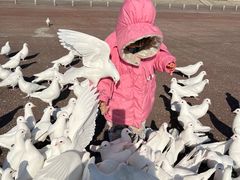 -泉城欧乐堡海洋极地世界