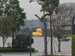 -深圳湾公园(南山区)