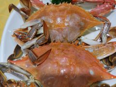 -海岛渔村大酒店(云霄路店)