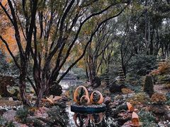 -上海吴淞炮台湾国家湿地公园