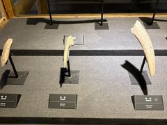 -河姆渡遗址博物馆