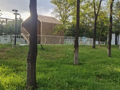 -莫子山公园