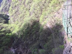 -十渡东湖港风景区