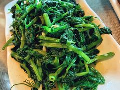 豌豆苗-随善园餐厅(大理店)