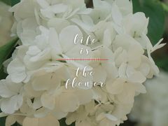 -上海滨江森林公园