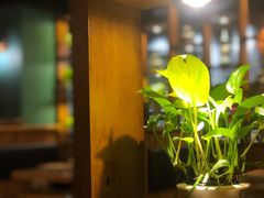 -傣妹火锅(四川北路店)