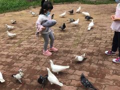 -青岛森林野生动物世界