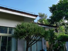 -三亚海棠湾万丽度假酒店