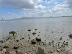 -深圳湾公园(南山区)