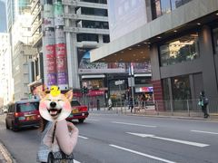 -澳洲牛奶公司(佐敦店)
