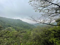 -广州市白云山风景名胜区