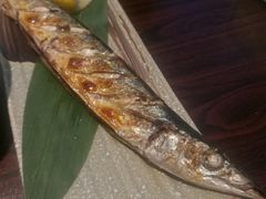 -天一料理(荔枝广场店)