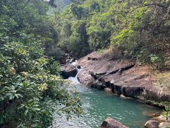 -广州白江湖森林公园