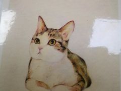 -鼎画艺术机构(贵都店)