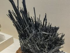 -安徽省地质博物馆