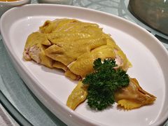 -金枝玉叶上海人家食府(三里河店)