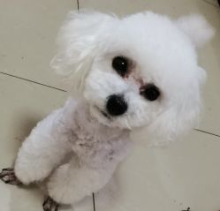 -煊私人定制美发会所