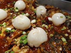 -鱼酷活鱼烤鱼(恒隆广场店)