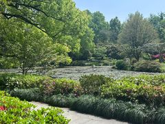 -杭州植物园