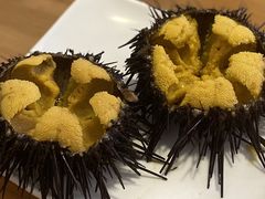 -海胆小馆(东北水饺·春柳店)