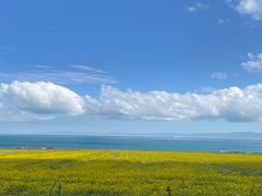 -青海湖国家重点风景名胜区