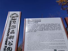 -东郊湿地公园