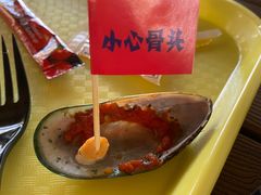 -Tangled Tree Tavern 老藤树食栈