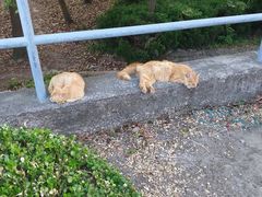 -东华大学(松江校区)