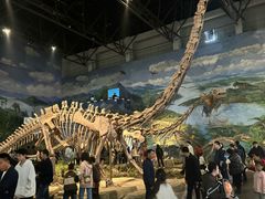 -自贡恐龙博物馆