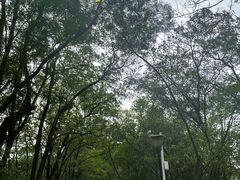 -红花山公园