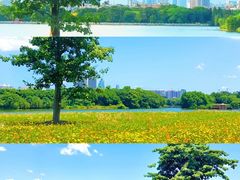 -海珠湖公园