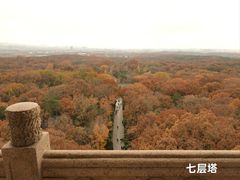 -灵谷景区