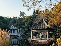 -叶家花园