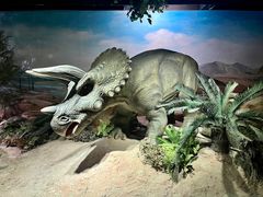 -国家自然博物馆