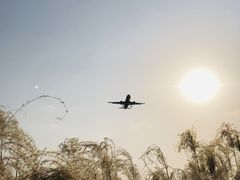 -空港花田景区