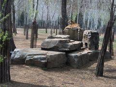 -秦皇岛野生动物园