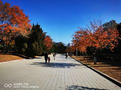 -旅顺博物馆