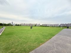 -洋湖国家湿地公园