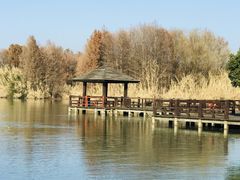 -苏州太湖国家湿地公园