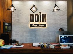 -ODIN 奥丁形象设计 