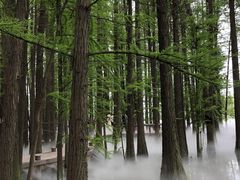 -东湖落雁景区