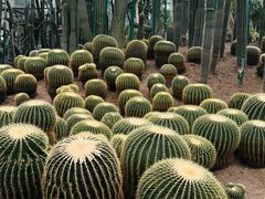 -南山植物园