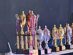 -杭州文化广播电视集团