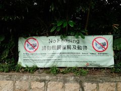 -九龙公园