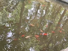 -林间山庄