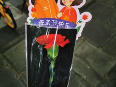 -Boxing Cat Brewery拳击猫精酿啤酒馆(永福店)