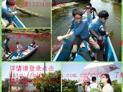 -南汇水蜜桃采摘(大团店)