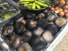 -海韵人家.海景花园经典云南菜(双廊店)